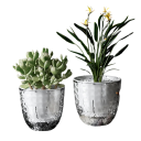 Dekorativt tvålagers självvattnande blomkruka 11 x 11 x 6 cm Transparent plastblomkruka med vattenabsorption Vattentank för hälsosam tillväxt 4