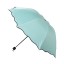 Deštník T1388 6