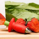 Détacheur de pédoncules pour fraises 6