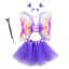 Dětský kostým motýlí křídla se sukní 5