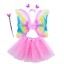 Dětský kostým motýlí křídla se sukní 3