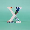 Διακοσμητικό ξύλινο γράμμα C560 26