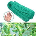 Δίχτυ κήπου κατά των πουλιών C964 2