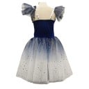 Dievčenské baletné šaty s tylovou sukňou romantickej dĺžky, sametový živôtik s čipkou, polyesterové, modro-strieborné, kostým pre balet 2