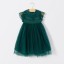 Dievčenské šaty s tylovou sukňou N102 4
