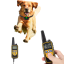 Digital hundetræningshalsbånd 800m vandtæt genopladelig med LCD-skærm lyd vibration stød fjernbetjening alle størrelser EU-stik 4