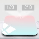 Digital Personal Scale 1