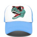 Dinosaur-kasket 15