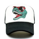 Dinosaur-kasket 6