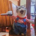Disfraz de Halloween para perros y gatos pequeños con cuchillo de espuma 28 cm contorno de cuello 22 cm disfraz espeluznante ajustable altura atuendo 3