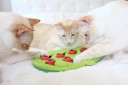 Dispensador de golosinas en forma de rompecabezas para gatos 36 x 24 cm Hoja con placas deslizantes Juguete interactivo de alimentación 4