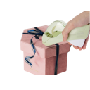 Distributeur automatique de ruban Eagle Dérouleur double sans batterie Découpeur de bureau pratique Ruban adhésif pour l'emballage de cadeaux et les travaux manuels Différentes couleurs 2