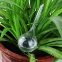 Distributeur d'eau pour pot de fleurs 20 pcs 6