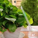 Distributeur d'eau pour pot de fleurs 5 pcs 2