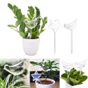 Distributeur d'eau pour pot de fleurs H892 2