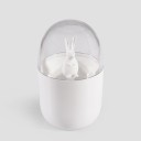 Distributeur de cure-dents 6