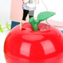 Distributeur de cure-dents en forme de pomme 3