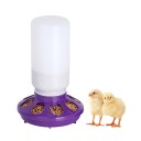 Distributore automatico di semi per pollame con bottiglia e aperture per l'alimentazione capacità 1 l mangiatoia in plastica viola per polli e quaglie 2