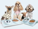 Dobbelt skål til hunde og katte C789 2