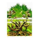 Dobbeltsidet akvariebaggrund 9