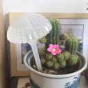 Δοχείο νερού H1034 4