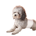 Dog Nappies 12 pcs Size L 8-17 kg Absorbent Disposable Nappies for Medium Dogs Hygienic Nappies for Season and Incontinence 2