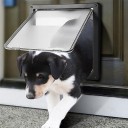 Dør til hunde og katte T1823 3