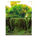 Double-Sided Aquarium Background 18