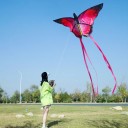 Drago volante colorato a forma di farfalla 140 x 67 cm con coda lunga 3m Drago in poliestere leggero e stabile per divertimento all'aperto 4