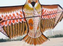 Dragon volant - Aigle en couleur dorée 4