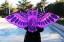 Dragon zburător - bufniță 110 cm în mai multe culori 10