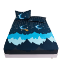 Drap housse 220 x 200 cm 2