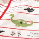 Drenge boxershorts med dinosaurer 4