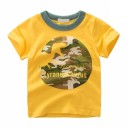 Drenge dinosaur t-shirt B1590 1