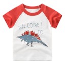 Drenge dinosaur t-shirt B1590 7