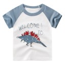 Drenge dinosaur t-shirt B1590 6