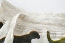 Drenge sweatpants med dinosaurer 4