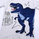 Drenge T-shirt med lange ærmer B1621 3