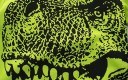Drenge-T-shirt med Tyrannosaurus Rex-print J1333 2