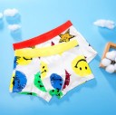 Drengeboksershorts - 2 stk. A2735 8