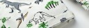 Drengeshorts med dinosaurprint J1329 16