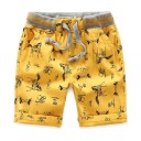 Drengeshorts med print J2533 23