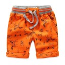 Drengeshorts med print J2533 24