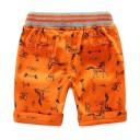 Drengeshorts med print J2533 2