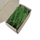 Dried Model Plants in a Box 10.5 × 5.3 × 5.3 cm Natural Decoration for Dioramas and Model Landscapes 7