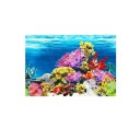 Dubbelzijdige aquariumachtergrond 14