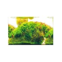 Dubbelzijdige aquariumachtergrond 19