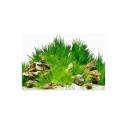 Dubbelzijdige aquariumachtergrond 20