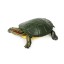 E24 teknős figura 1