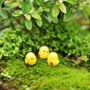 Easter Decorative Chicks - 10 pcs 4
